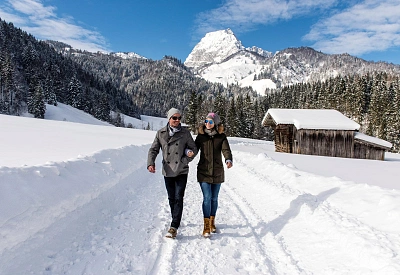 winterspaziergangvordemwildenkaisergerdlfranz.jpg